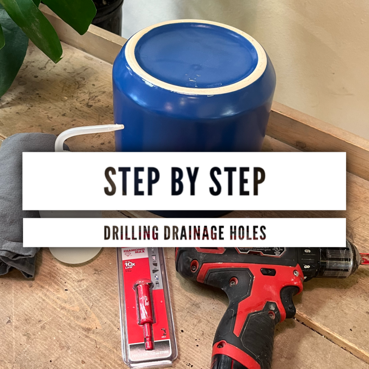 step-by-step-drilling-drainage-holes-baton-rouge-succulent-co