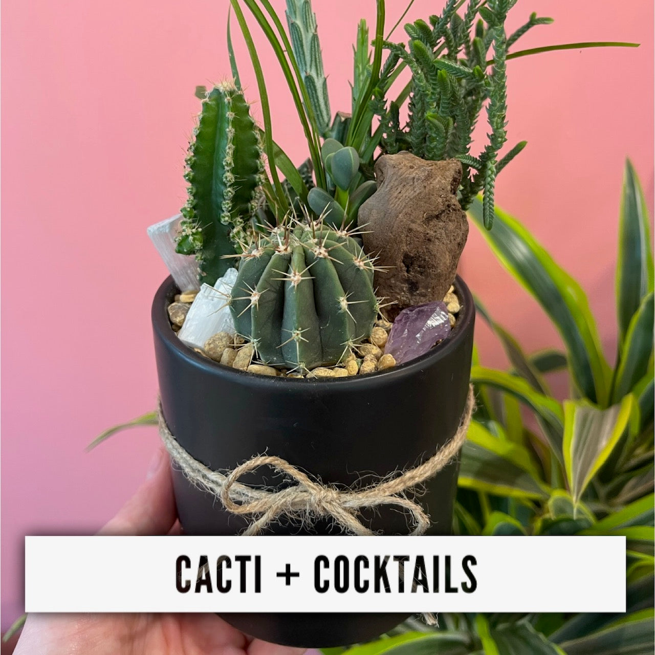 Cacti + Cocktails 3/9/25