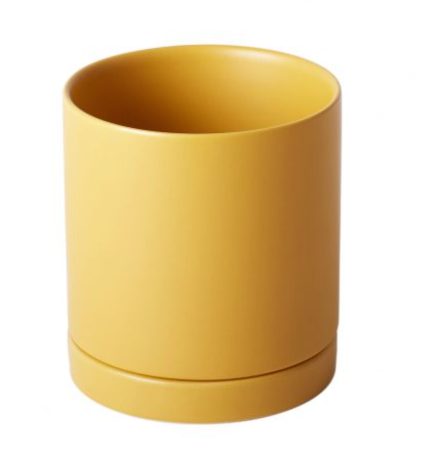 Romey Pot Yellow